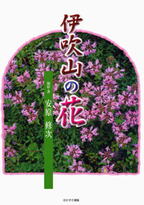 伊吹山の花