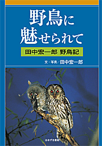 野鳥に魅せられて