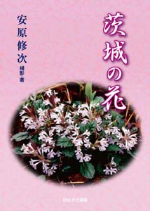 茨城の花